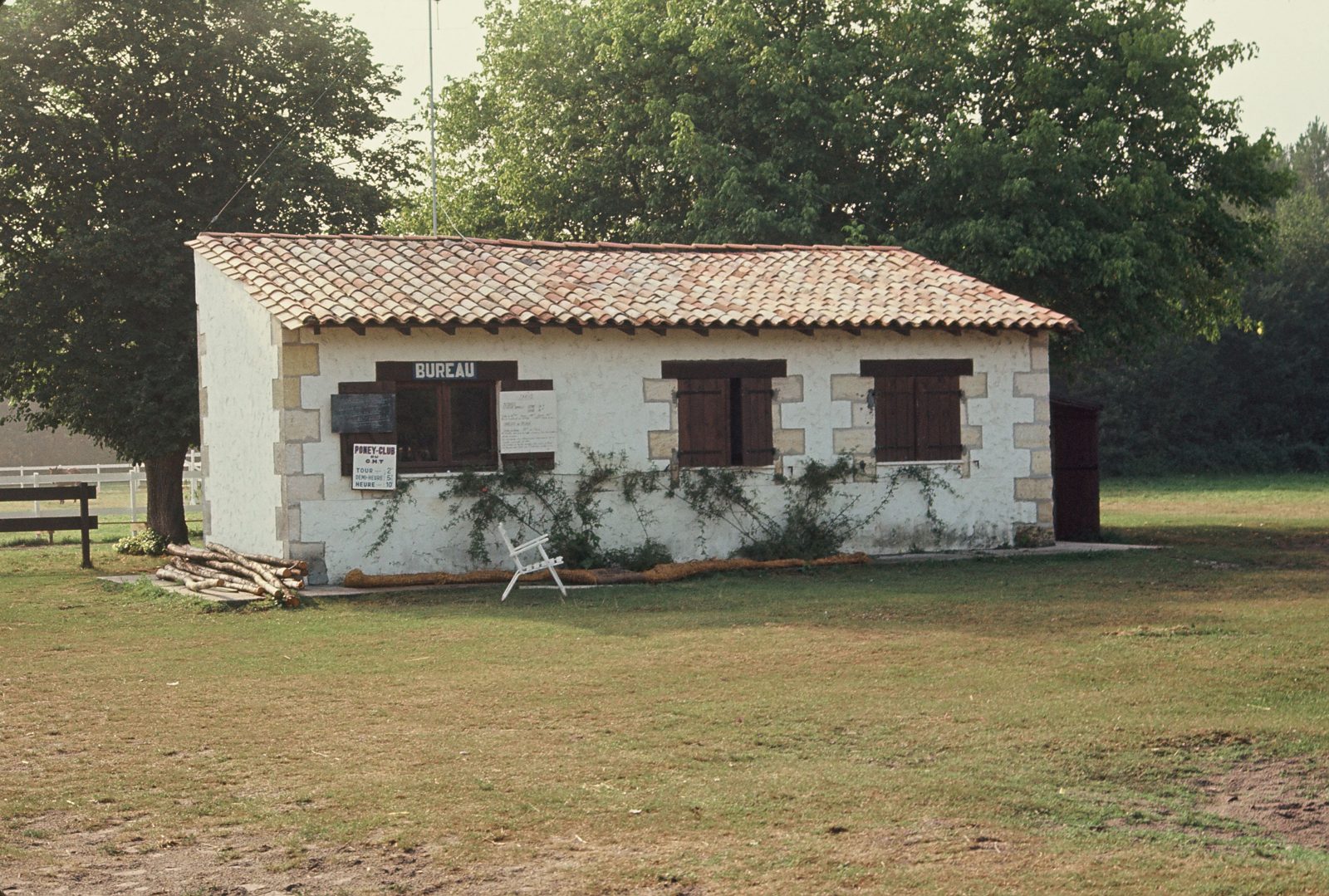 Photo 11