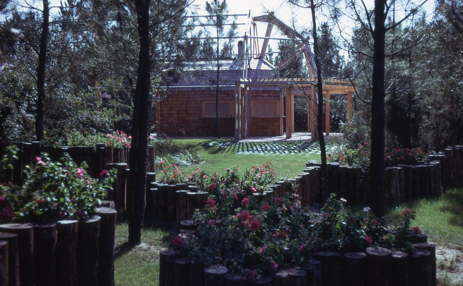 Photo 5